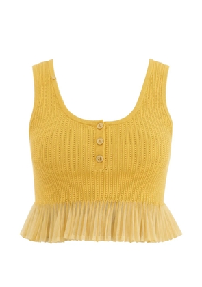 Elisabetta Franchi ribbed top - Yellow