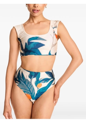 DIARRABLU leaf-print bikini - Blue