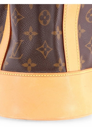 Louis Vuitton Pre-Owned Randonnee Monogram Canvas PM backpack - Brown