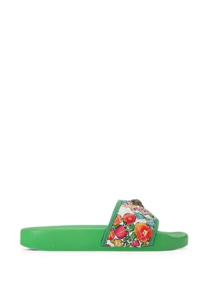 Kurt Geiger London Meena Eagle slides - Green