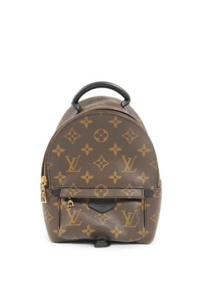 Louis Vuitton Pre-Owned mini Palm Springs Monogram backpack - Brown