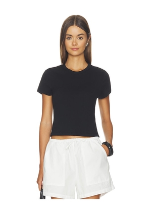 LESET Nando Baby Tee in Black. Size XS. Also in S, M, L, XL.