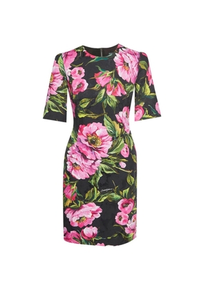 Dolce & Gabbana Pre-Owned floral-print midi dress - Black