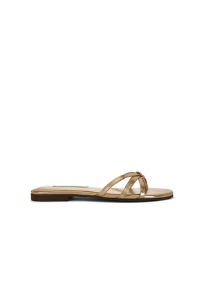 Steve Madden Calissi Sandal in Metallic Gold. Size 6. Also in 6.5, 7, 7.5, 8, 8.5, 9, 9.5, 10.