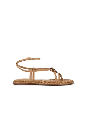 Sam Edelman Rillie Sandal in Tan. Size 6. Also in 6.5, 7, 7.5, 8, 8.5, 9, 9.5, 10.