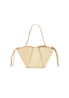 Dolce Vita Maro Raffia Tote Bag in Neutral.