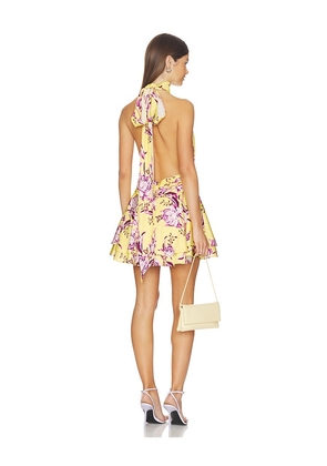 Sonya Moda Isabeli Mini Dress in Lemon. Size S. Also in XS, M, L, XL.