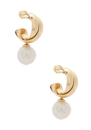 SHASHI Ross Pearl Earring in Metallic Gold,White.