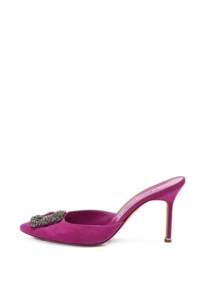 Manolo Blahnik Hangisimu buckled suede mules - Purple