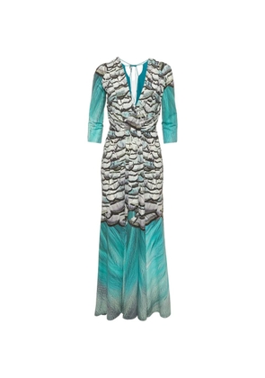 Roberto Cavalli Vintage feather-print V-neck maxi dress - Blue