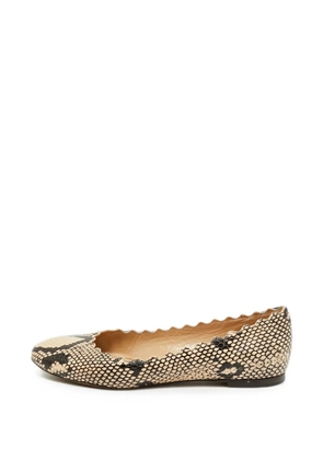 Chloé Pre-Owned Lauren scalloped ballet flats - Neutrals