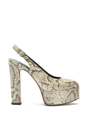 Casadei Patty python-print platform pumps - Neutrals