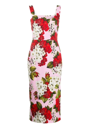Dolce & Gabbana floral midi dress - Pink