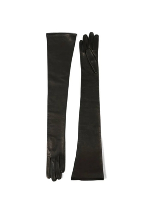 Petar Petrov The Opera long-length gloves - Black