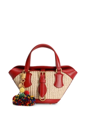 Dolce & Gabbana raffia coffa Capri bag - Neutrals
