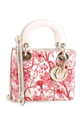 Christian Dior Pre-Owned Lady Dior Chain Bag Embroidered Calfskin Mini satchel - Multicolour