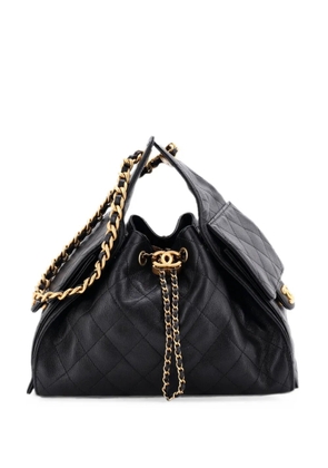CHANEL Pre-Owned 25 Quilted Caviar Small hobo bag - Black