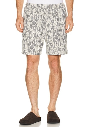 SAMSOE SAMSOE Sajabari Shorts in Salute Symmetry - Multi. Size L (also in S, M, XL/1X, XXL/2X).