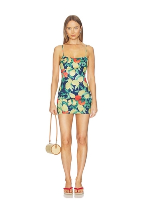 MORE TO COME Nancy Mini Dress in Navy,Yellow. Size XS. Also in XXS, S, M, L, XL.
