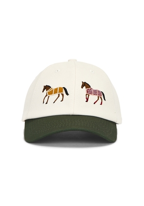Found Horse Pair Hat in White.