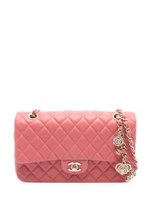 CHANEL Pre-Owned 2014 Classic Flap Valentine's Day Edition shoulder bag - Pink