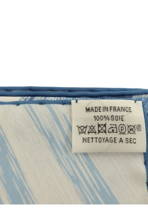 Hermès Pre-Owned cat-print scarf - Blue