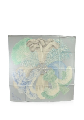 Hermès Pre-Owned Plumes et Panaches scarf - Blue