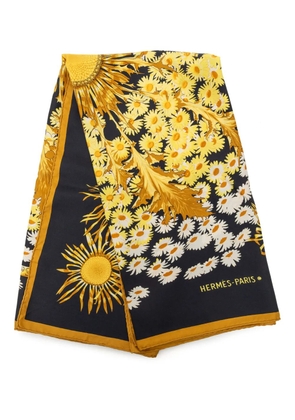 Hermès Pre-Owned 20th Century Fleurs et Carlines Silk Scarf 90 scarves - Black