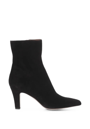 Paris Texas Belle suede ankle boots - Black