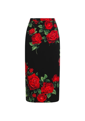 Dolce & Gabbana rose-print pencil midi skirt - Black