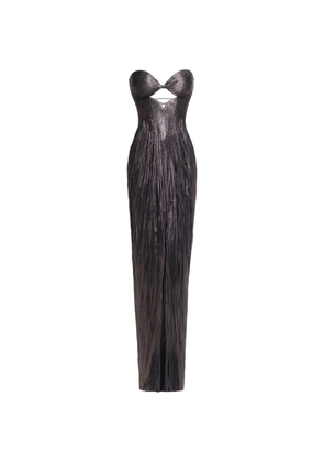 Maria Lucia Hohan Stephanie cut-out pleated maxi dress - Brown