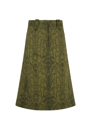 Alberta Ferretti snake-print A-line skirt - Green
