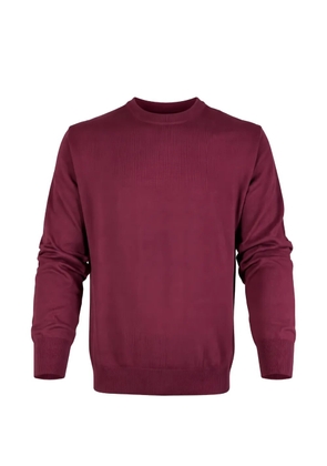 Altea crew-neck ribbed-trim sweater - Red