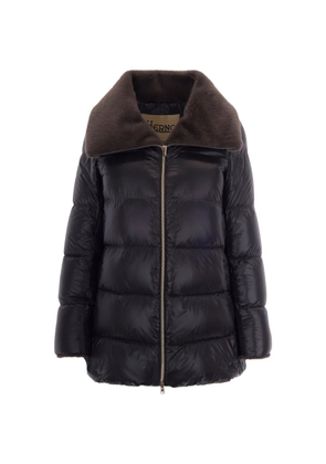 Herno wide-collar padded jacket - Grey