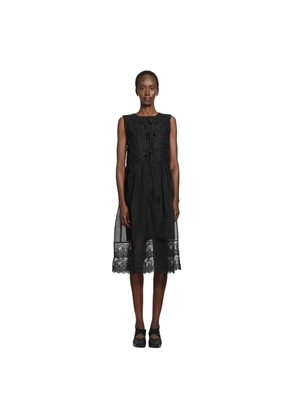 Silk Sheer Lace Mini Dress