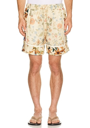 Agua Bendita Georgie Shorts in Cream - Cream. Size 32 (also in 30, 34, 36, 38).