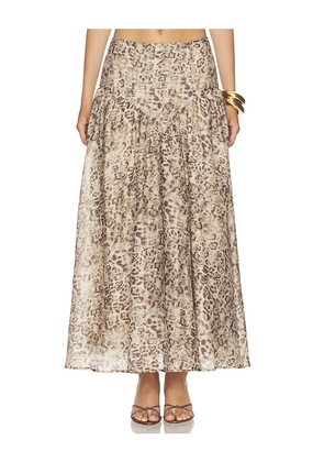 Bardot Hildie High Waisted Midi Skirt in Brown. Size 4. Also in 2, 6, 8, 10, 12.