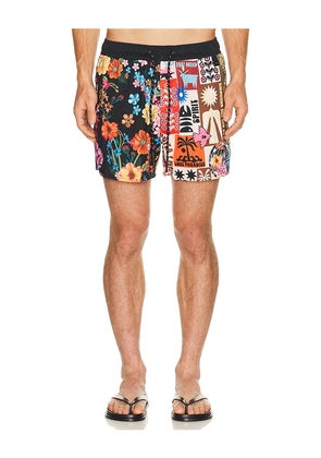 Agua Bendita Cassius Trunks in Multi. Size 30. Also in 32, 34, 36.
