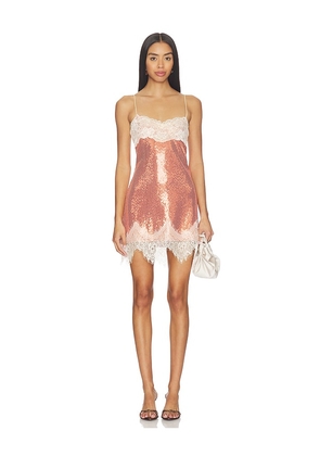 Fait Par Foutch Celeste Dress in Rose. Size XS. Also in XXS.