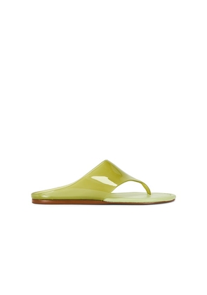 FARM Rio Jelly Thong Flat Sandal in Green. Size 6. Also in 6.5, 7, 7.5, 8, 8.5, 9, 9.5.