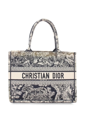 Christian Dior Pre-Owned 2000s Book Tote Toile de Jouy tote bag - Blue