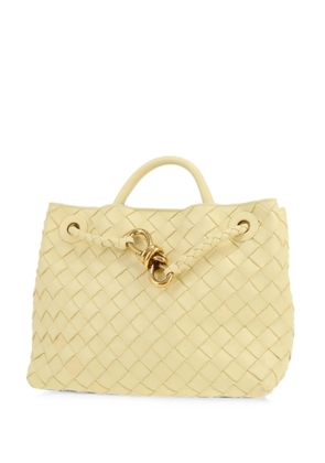 Bottega Veneta Pre-Owned 2020s Andiamo Intrecciato handbag - Neutrals