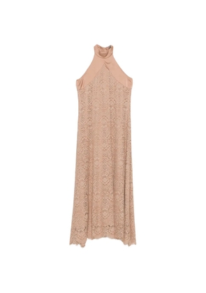 D.Exterior flower-lace midi dress - Neutrals