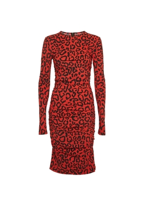 Dolce & Gabbana Pre-Owned animal-print ruched midi dress - Red