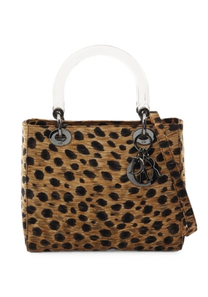 Christian Dior Pre-Owned 2000s Lady Dior leopard-print handbag - Neutrals