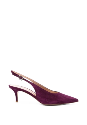 Gianvito Rossi Robbie pumps - Purple