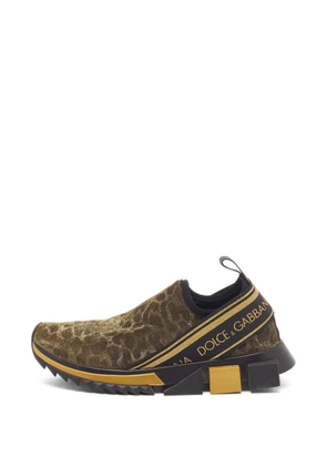 Dolce & Gabbana Pre-Owned Sorrento leopard-print sneakers - Brown