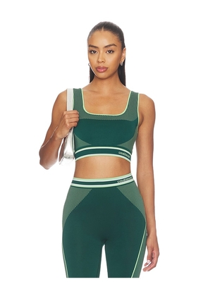 Casablanca Seamless Bralette in Green. Size L/XL. Also in S/M.