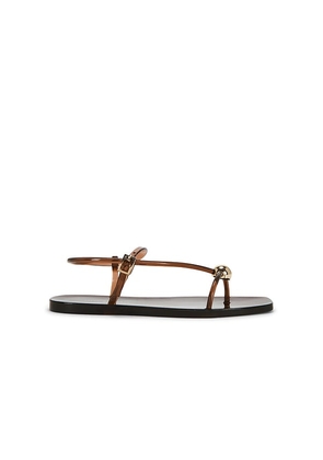 Loeffler Randall Dana Strappy Jelly Sandal in Brown. Size 10. Also in 5, 6, 7, 8, 9.
