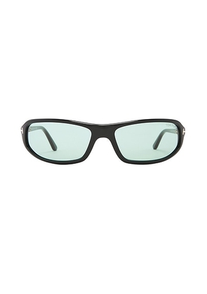 TOM FORD Addison Sunglasses in Shiny Black & Green - Black. Size all.